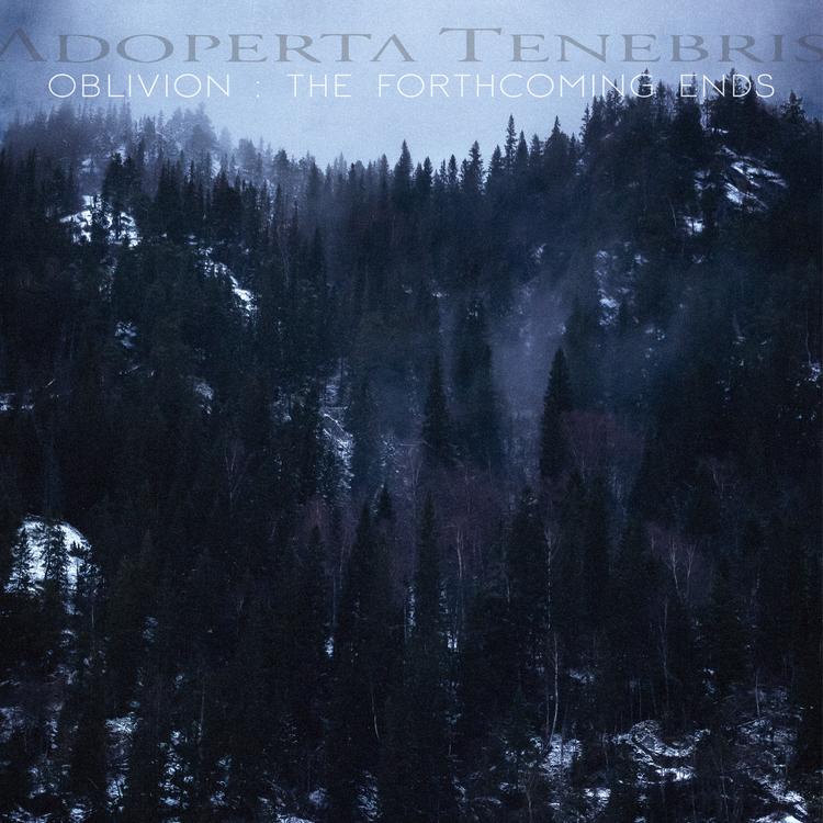 Adoperta Tenebris's avatar image