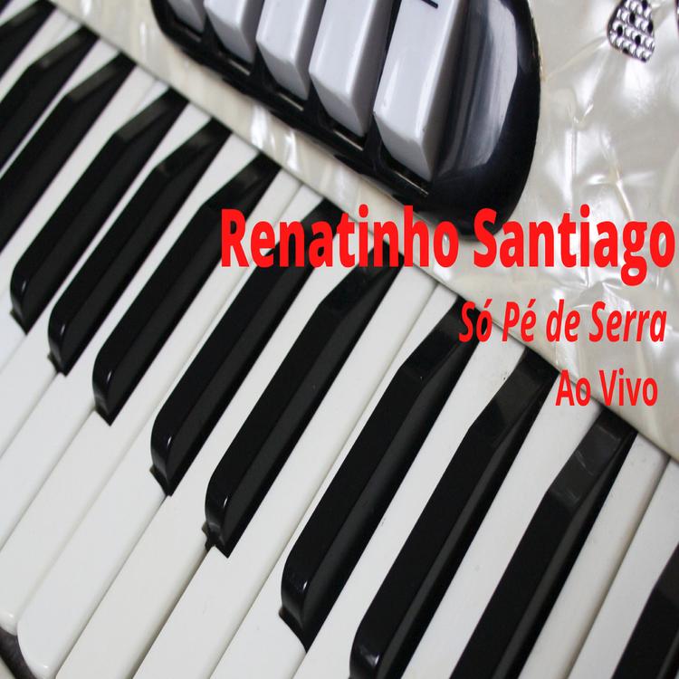 RENATINHO SANTIAGO's avatar image