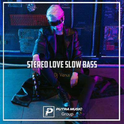 Stereo Love Slow Bass (Remix)'s cover