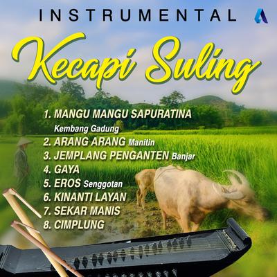 Instrumental Kecapi Suling (Arang Arang)'s cover