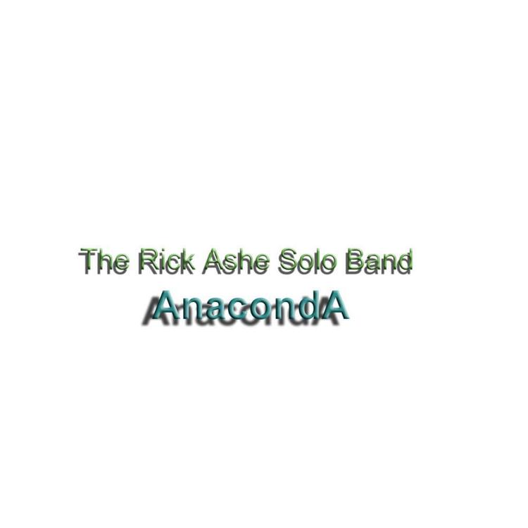 The Rick Ashe Solo Band's avatar image