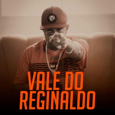 Vale do Reginaldo By NSC's cover