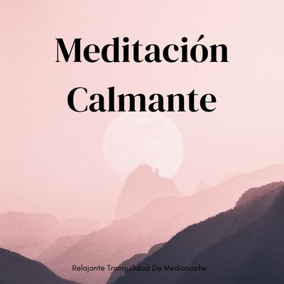 Tratamientos Para Trastornos De Ansiedad Utilizando Música Ambiental By Alinear Chakras, Meditación y Afirmaciones, Meditaciones conscientes equilibradas's cover