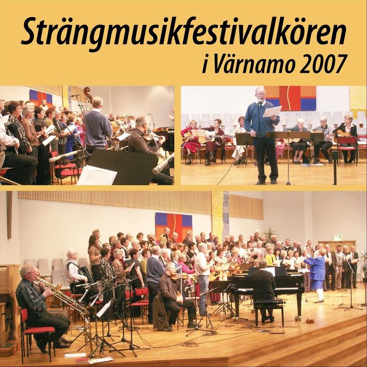 Strängmusikfestivalkören's avatar image