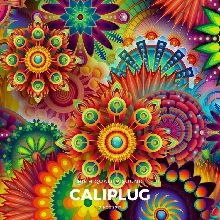 CaliPlug's avatar image
