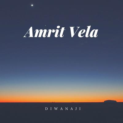 Amrit Vela's cover