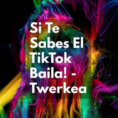 Si Te Sabes El TikTok Baila! - Twerkea By Chriss Giovanini's cover