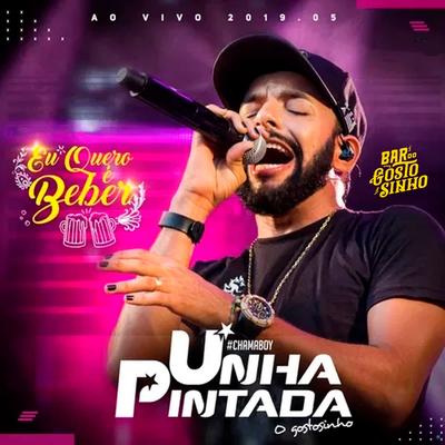 Bar do Gostosinho - Eu Quero é Beber - Ao Vivo 2019.05's cover