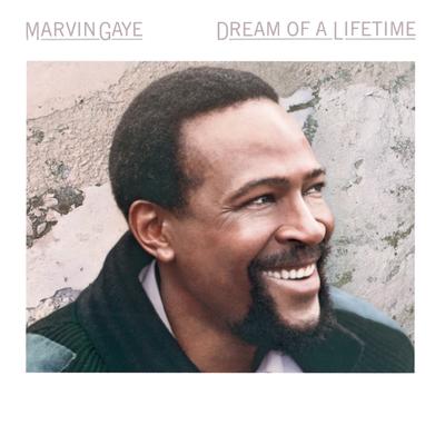 Life's Opera By Marvin Gaye's cover