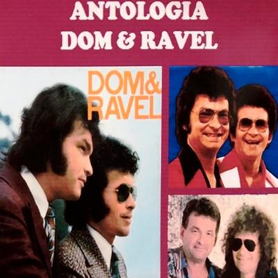 Eu Te Amo Meu Brasil By Dom & Ravel's cover