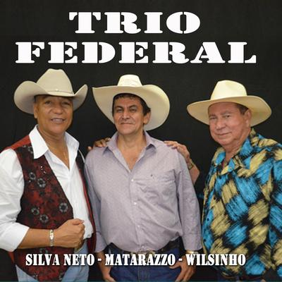 Convite de Baile By Trio Federal's cover