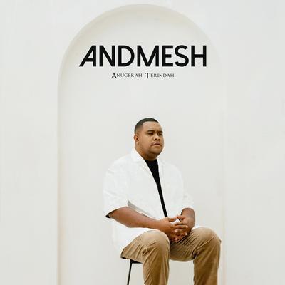 #andmesh's cover