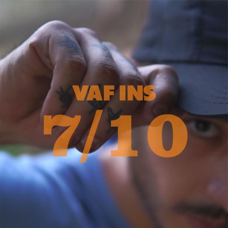 VAF INS's avatar image