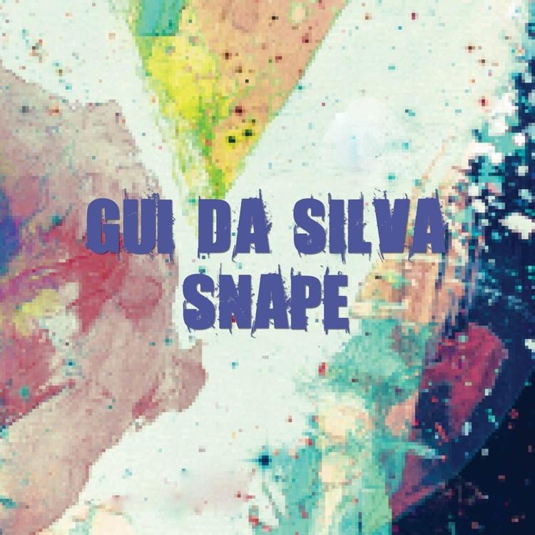 Gui Da Silva's avatar image