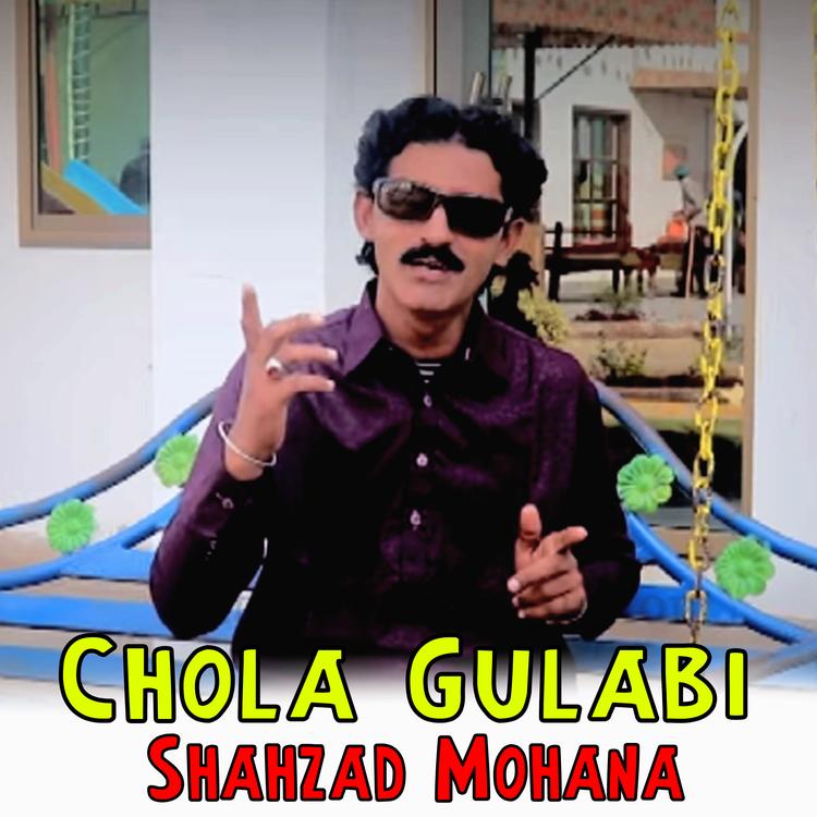 Shahzad Mohana's avatar image