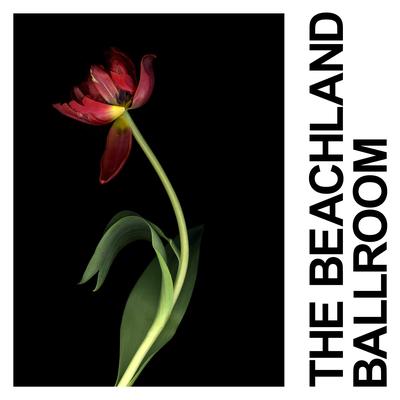 The Beachland Ballroom's cover