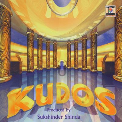Kudos's cover