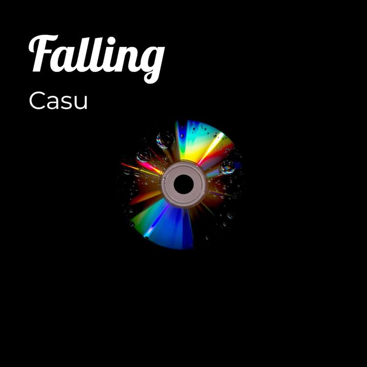 CASU's avatar image