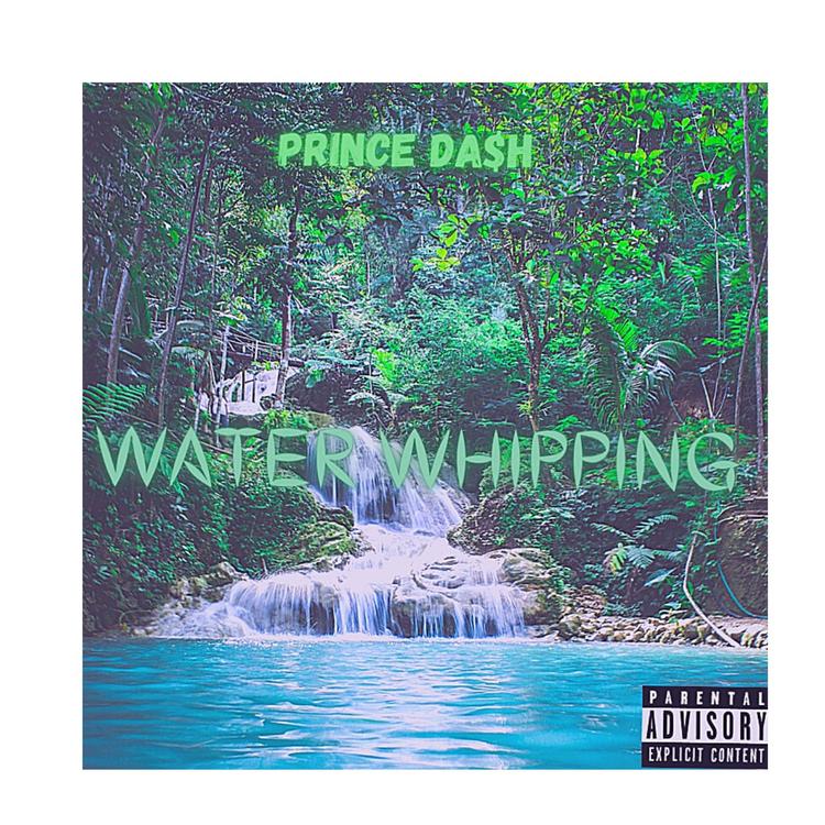 Prince Da$h's avatar image