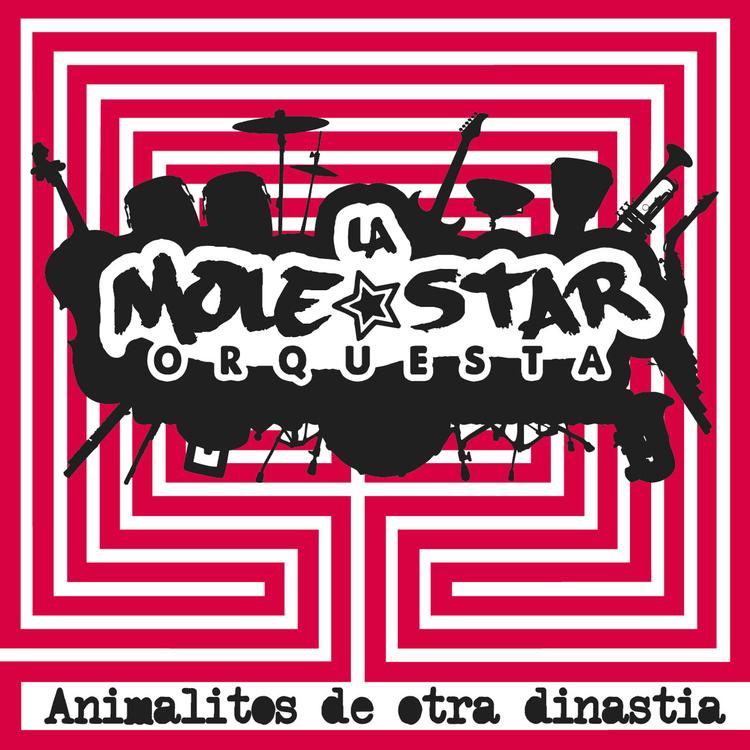 La Molestar Orquesta's avatar image