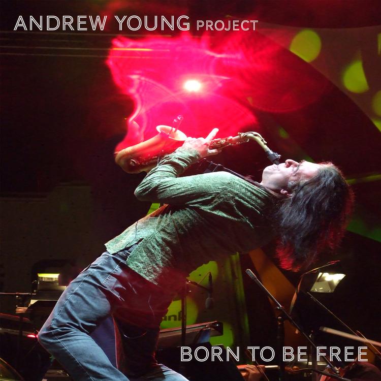 Andrew Young Project's avatar image