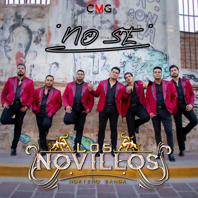 Los Novillos Norteño Banda's cover