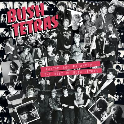 You Can't Be Funky By Bush Tetras's cover