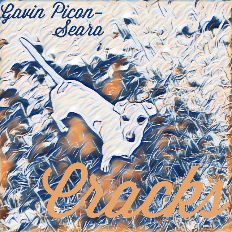 Gavin Picon-Seara's avatar image
