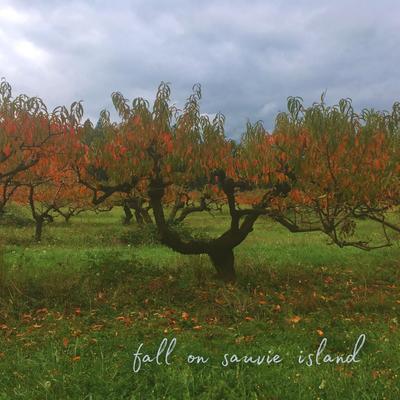 Fall on Sauvie Island By Siena Christie's cover