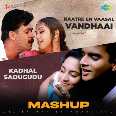 Kadhal Sadugudu X Kaatre En Vaasal Vandhaai - Mashup's cover