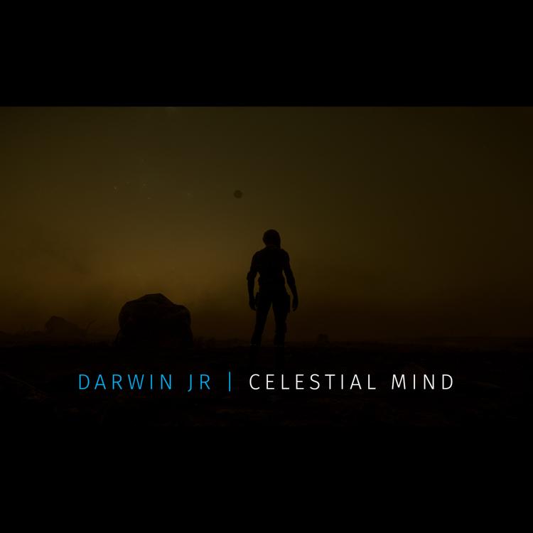 Darwin Jr's avatar image