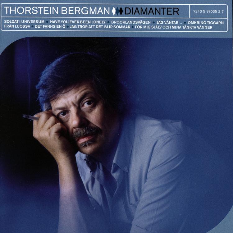 Thorstein Bergman's avatar image