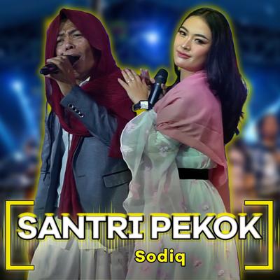 Santri Pekok's cover