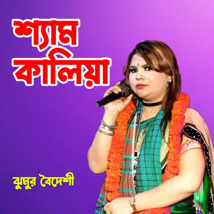 Jhumur Boideshi's avatar image