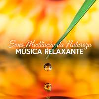 Relaxantes Natureza Zona's avatar cover
