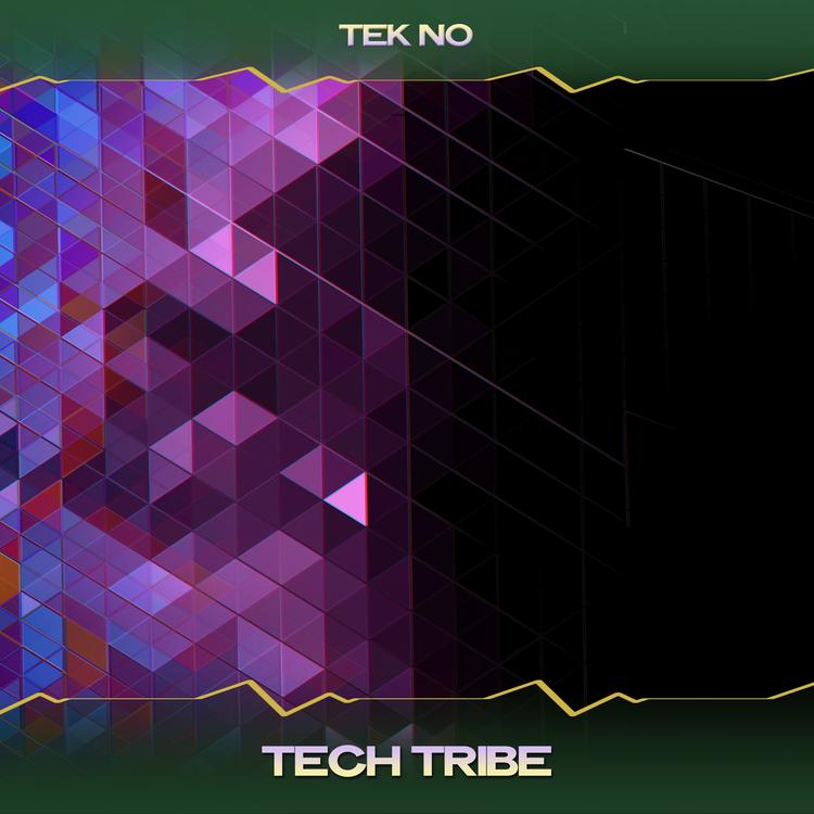 Tek No's avatar image