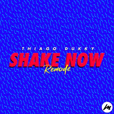 Shake Now (Remode) By Thiago Dukky's cover