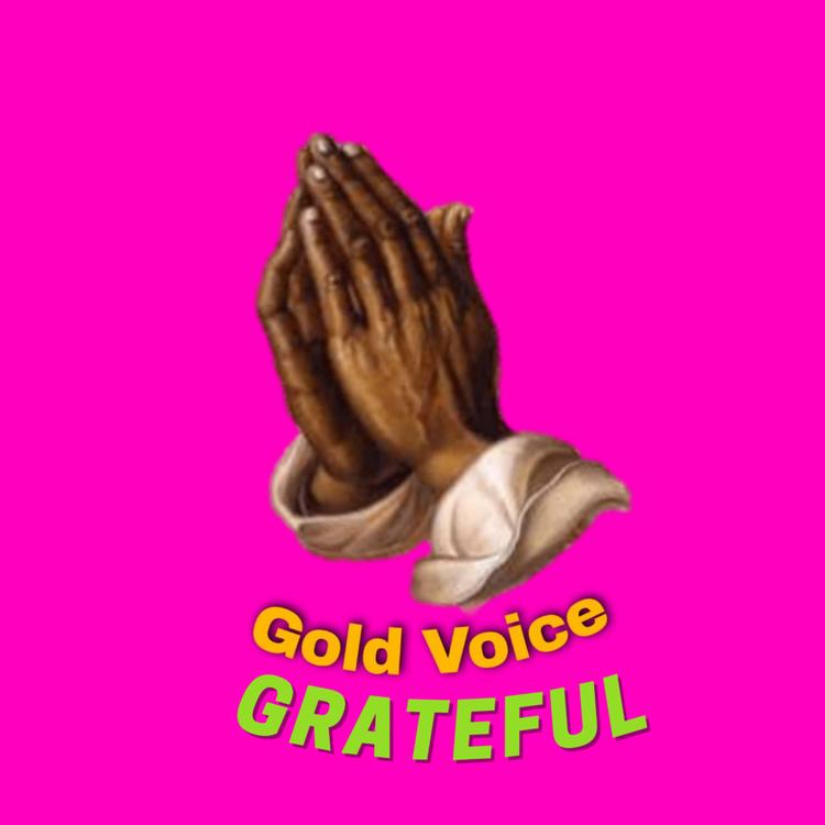 Gold Voice's avatar image