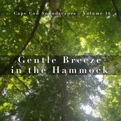 Hammock in the Trees , Pt. 03's cover