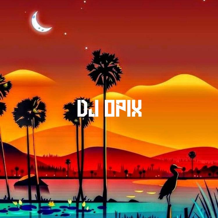 DJ OPIX Official's avatar image