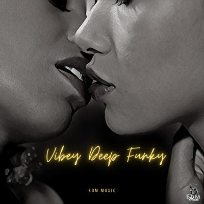 Vibey Deep Funky's cover