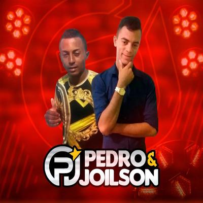 Piseiro no Sítio's cover