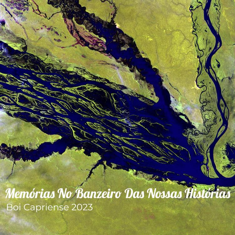Boi Capriense 2023's avatar image