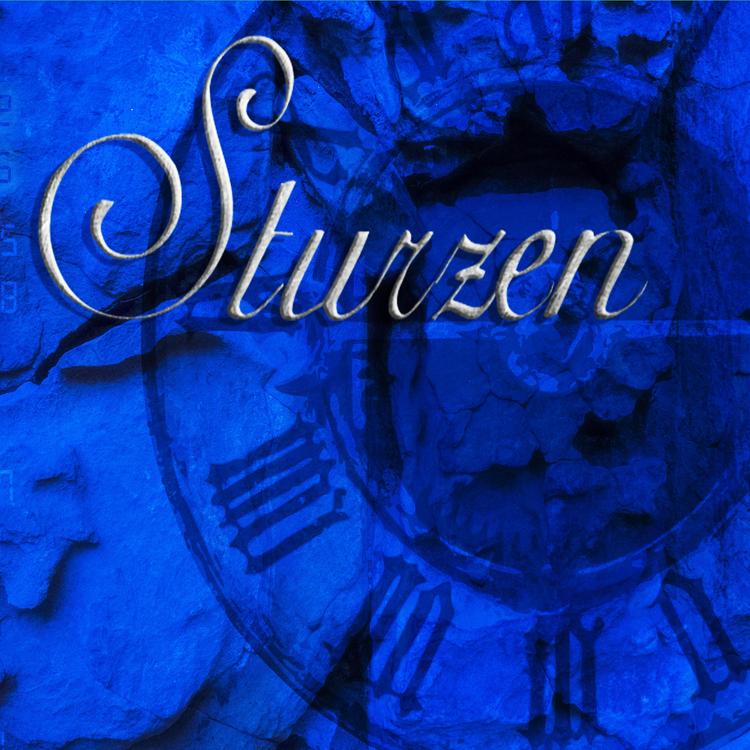 Sturzen's avatar image