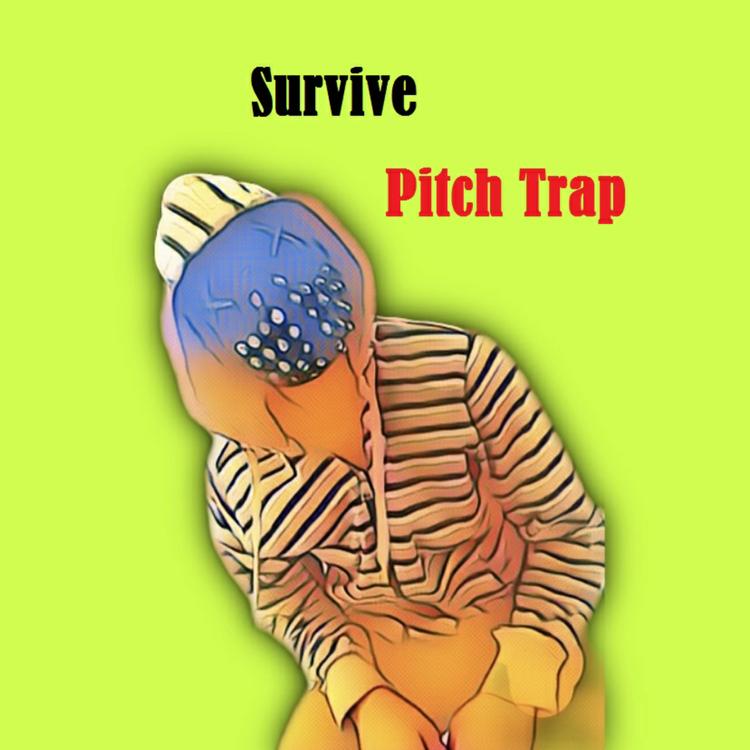 Pitch Trap's avatar image