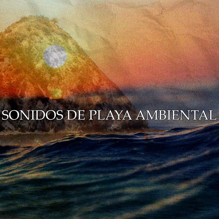 Sonido Natural Y Ambiental's avatar image