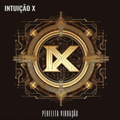 Perfeita Vibração By Intuição X's cover
