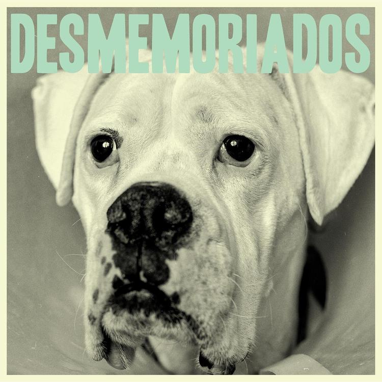 Desmemoriados's avatar image