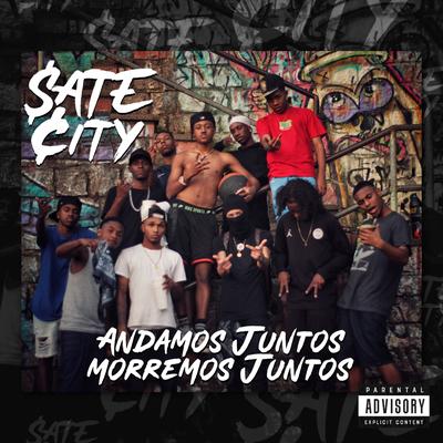 Sate City's cover