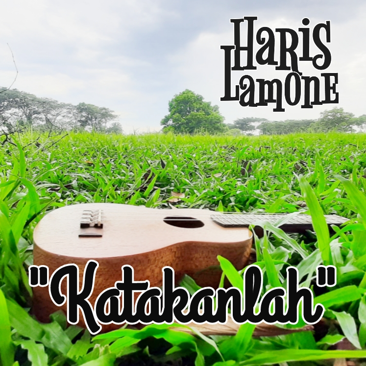 Haris Lamone's avatar image